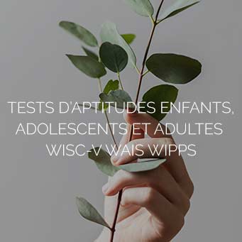 Tests d’aptitudes enfants adolescents et adultes WISC-V WAIS WIPPS